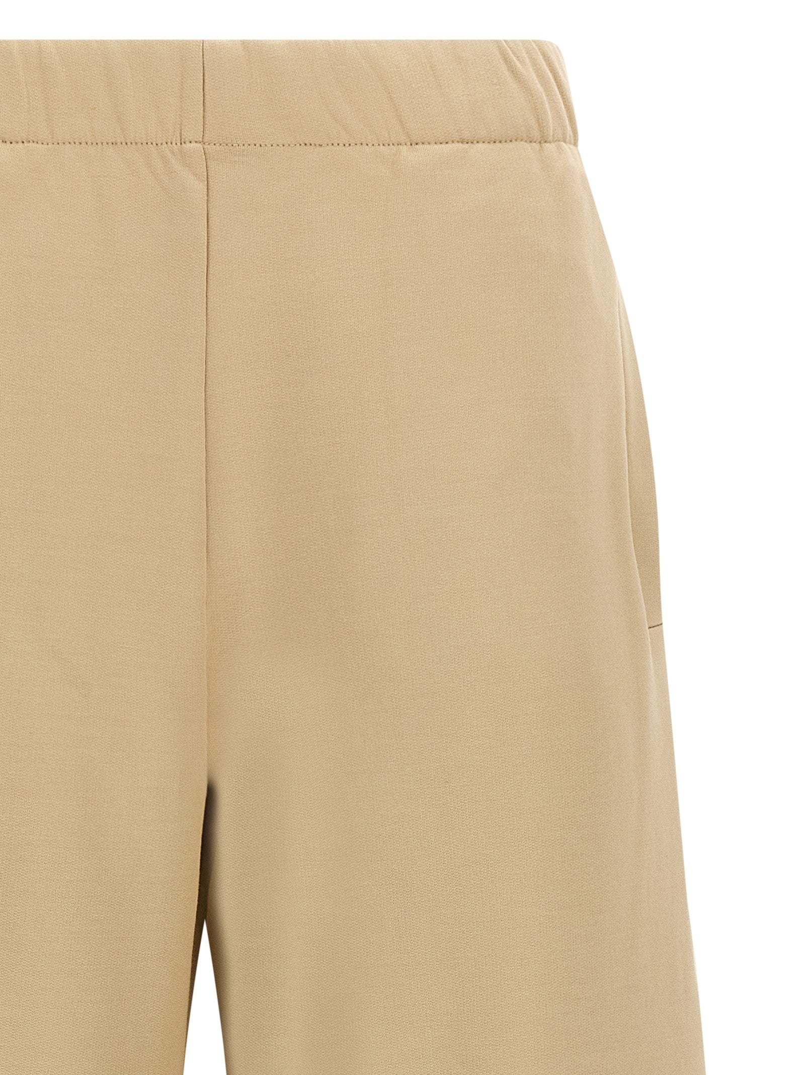 Max Mara Filovia Pants Brown