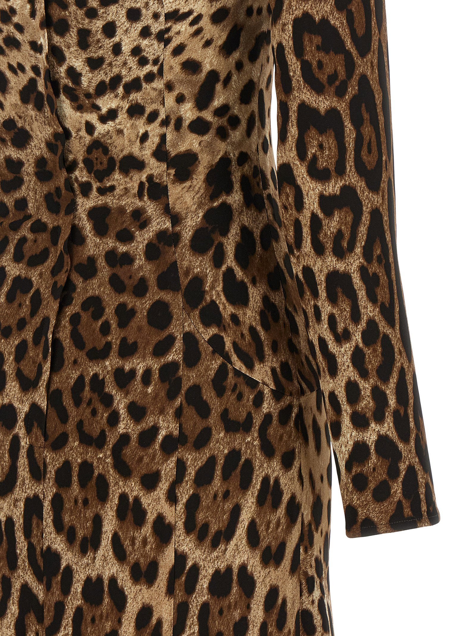 Dolce & Gabbana Animal Print Dress Brown