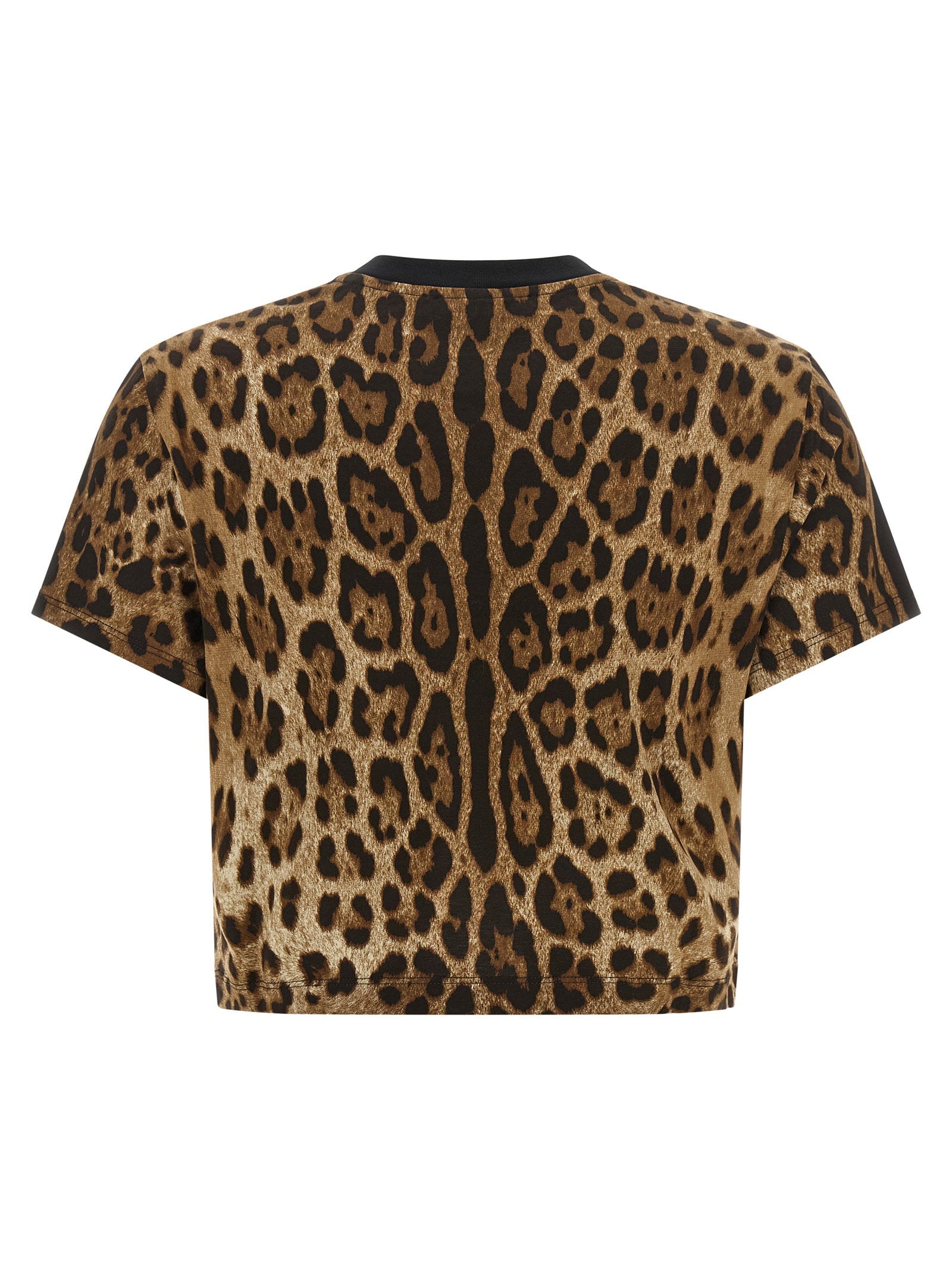 Dolce & Gabbana Leo Cropped T-shirt Brown