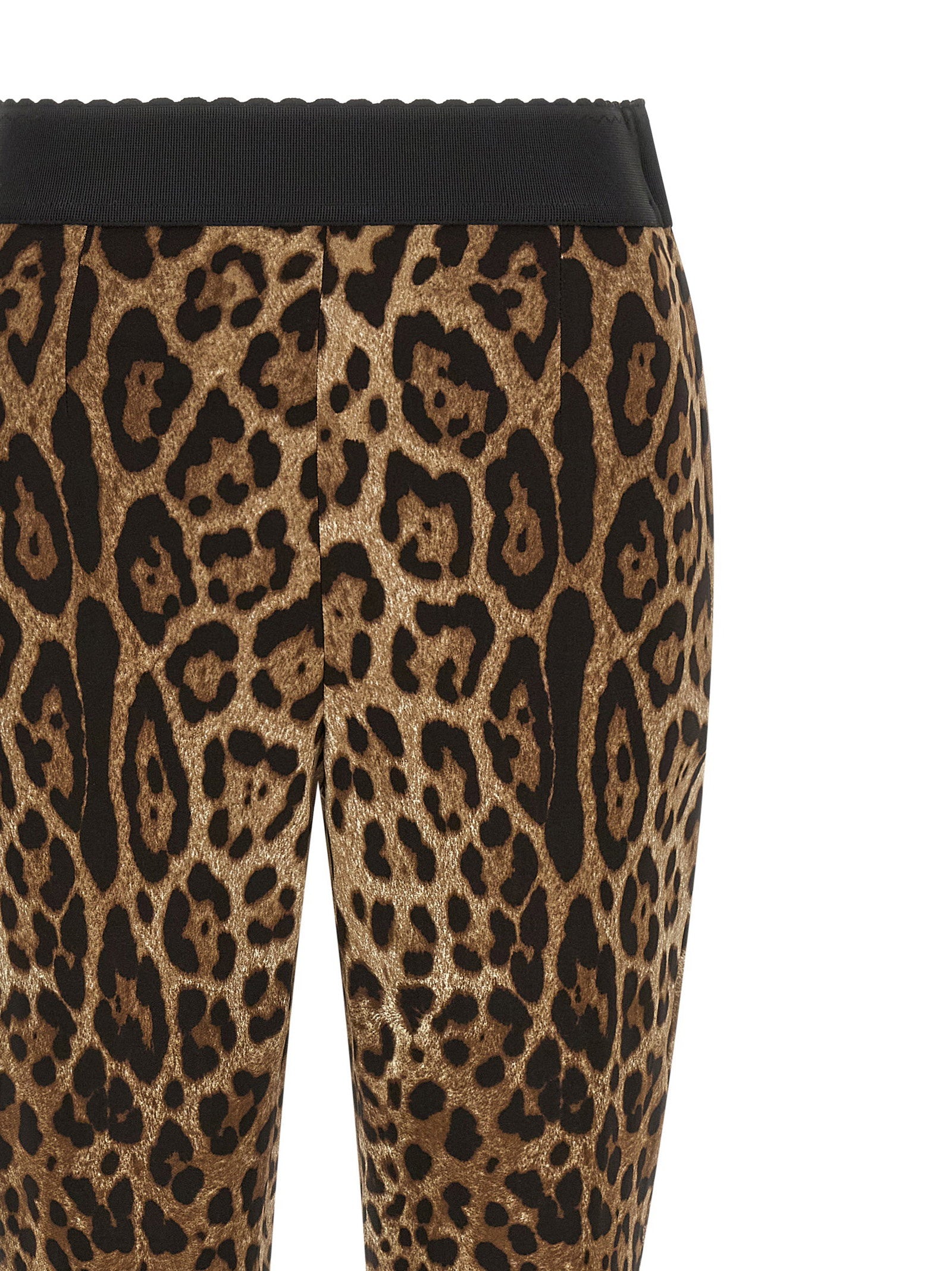 Dolce & Gabbana Leo Leggings Brown