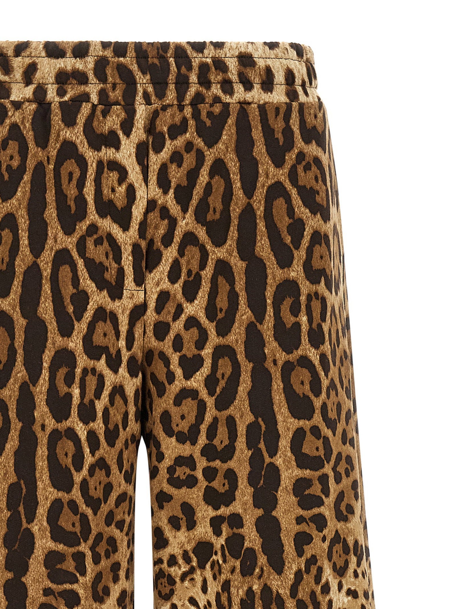 Dolce & Gabbana Leo Pants Brown