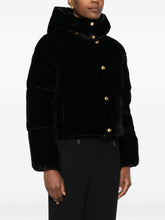 Elisabetta Franchi Cropped Velvet Quilted Down Jacket Black