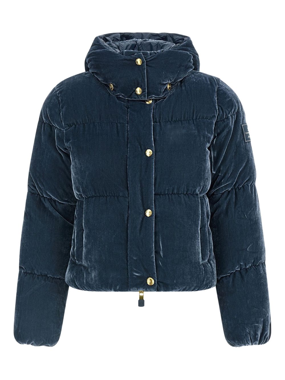 Elisabetta Franchi Cropped Velvet-Effect Quilted Down Jacket Blue