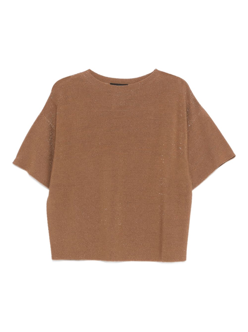 Fabiana Filippi Round Neck Wool Sweater Brown