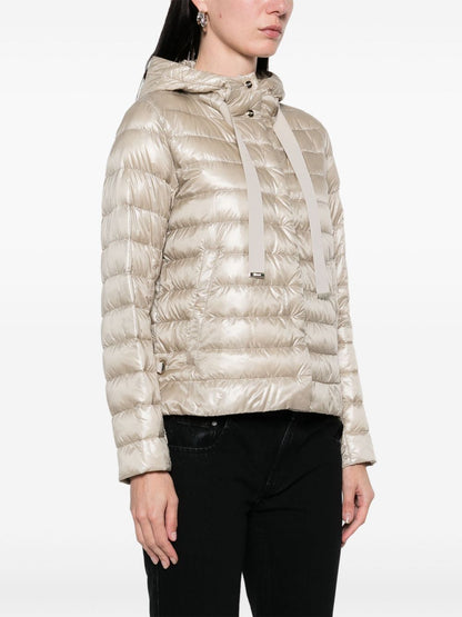 HERNO Short Down Jacket Powder Powder