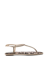 René Caovilla Sandals LEOPARD PRINT