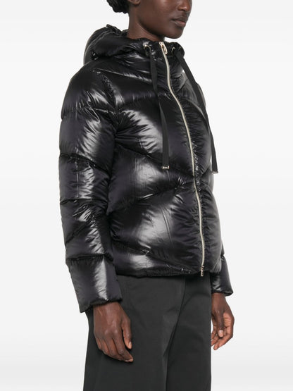 HERNO Jacket BLACK