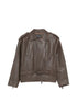 Emporio Armani Jacket BROWN