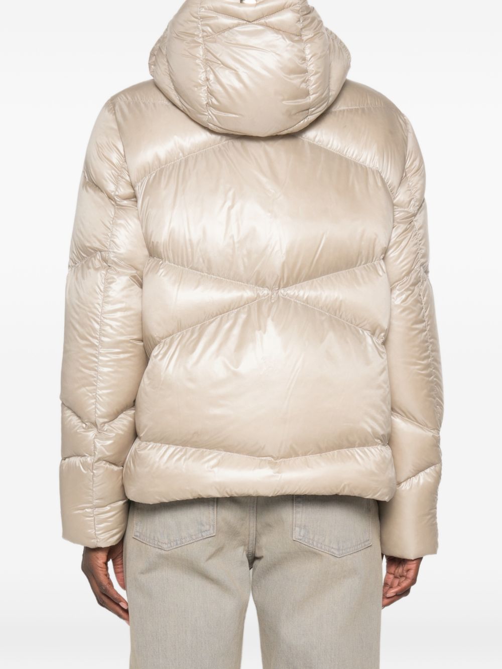 HERNO Coat POWDER