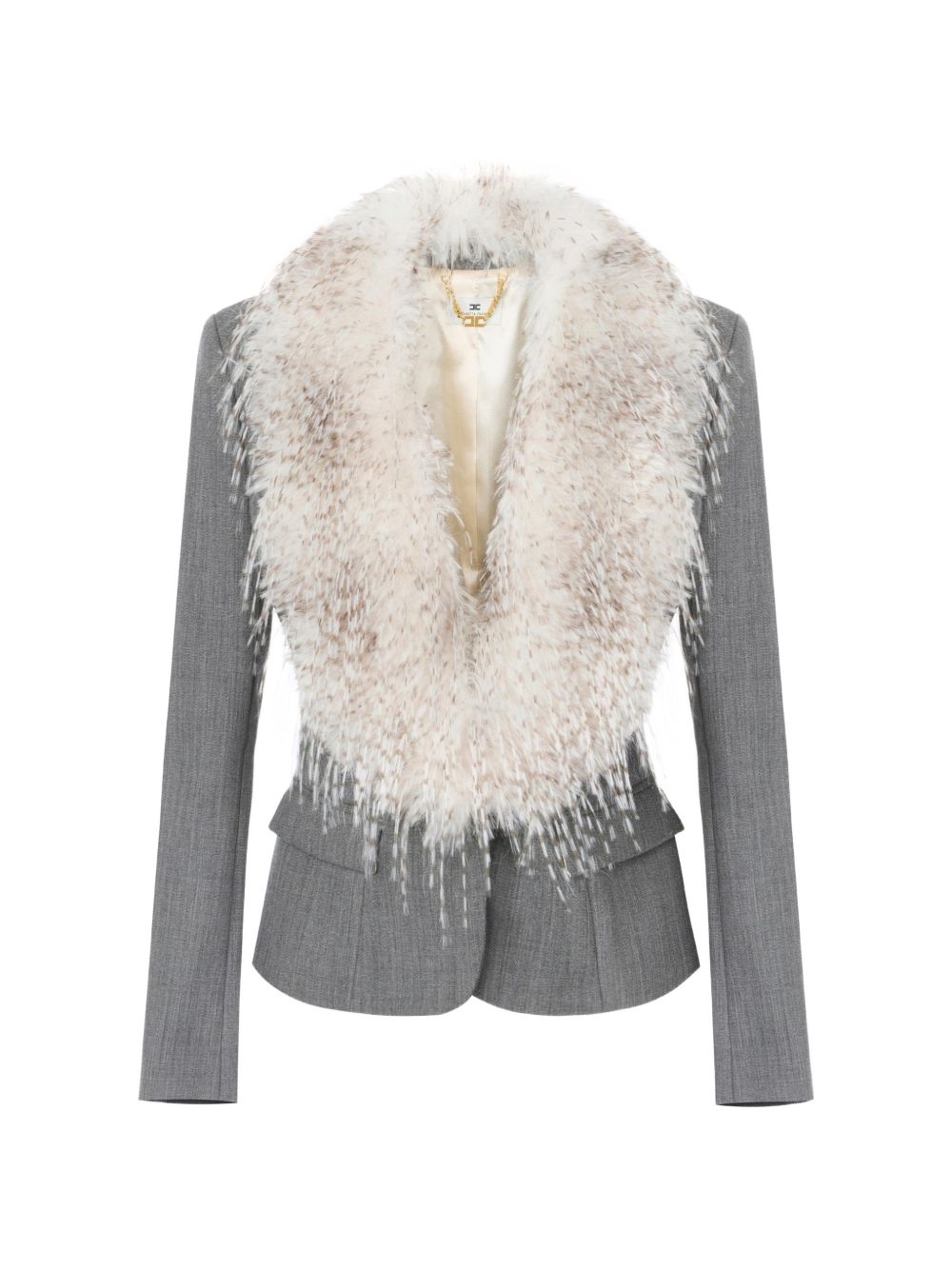 Elisabetta Franchi Jacket Gray