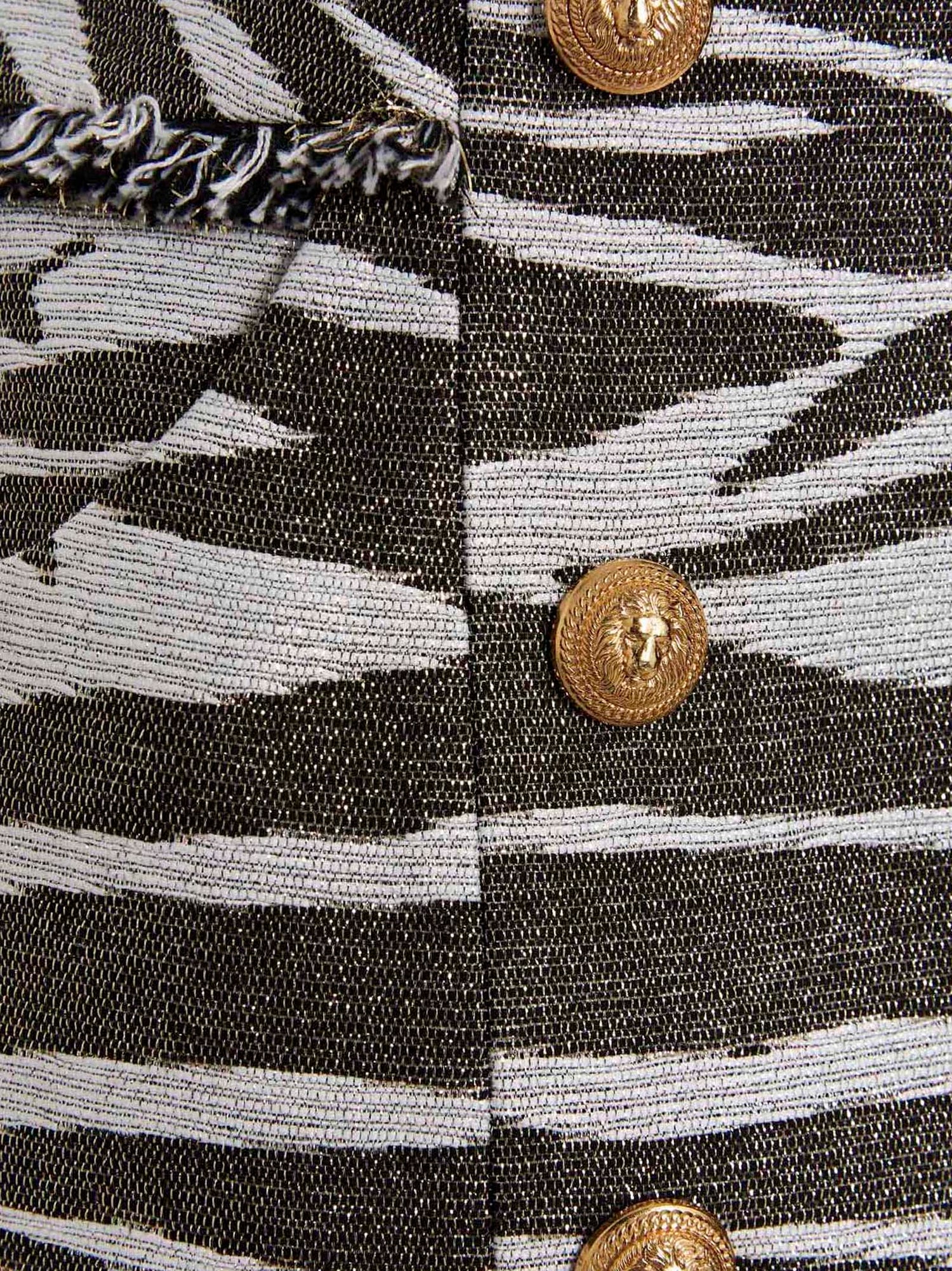 Balmain Lurex Zebra Skirt Multicolor