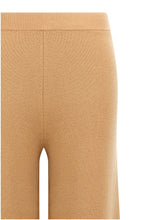 Max Mara Judy Pants Brown