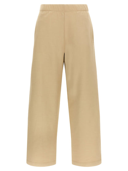 Max Mara Filovia Pants Brown