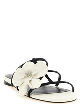 Zimmermann Orchid Slides White/black