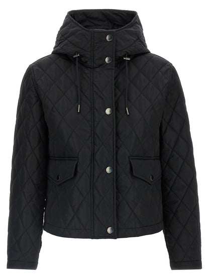Burberry Pembroke Jacket Black