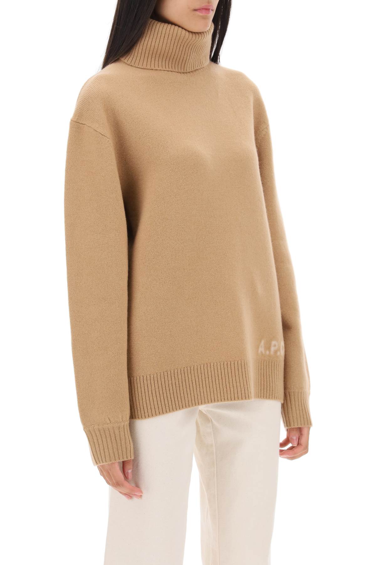 Walter Virgin Wool Turtleneck Sweater