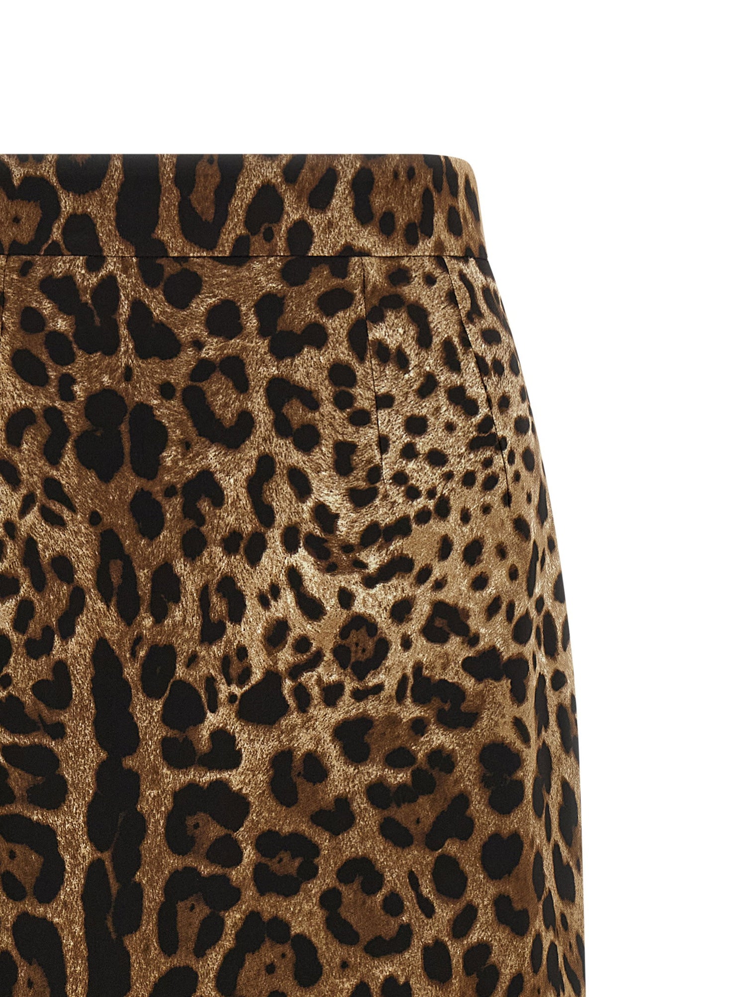 Dolce &amp; Gabbana Leo Skirt Brown