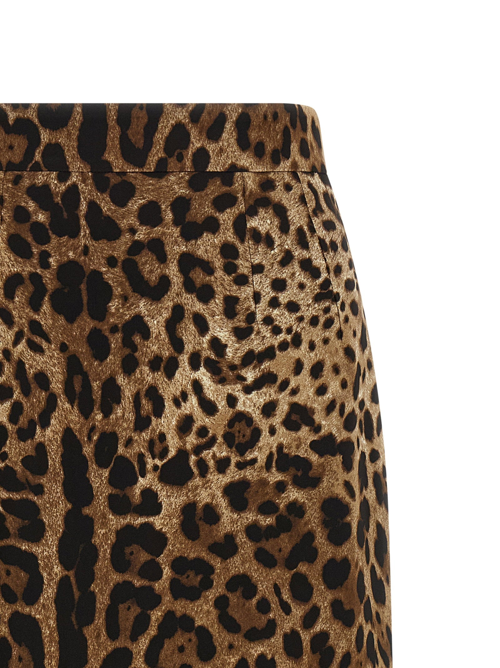 Dolce &amp; Gabbana Leo Skirt Brown
