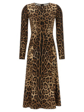 Dolce & Gabbana Animal Print Dress Brown