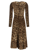 Dolce & Gabbana Animal Print Dress Brown