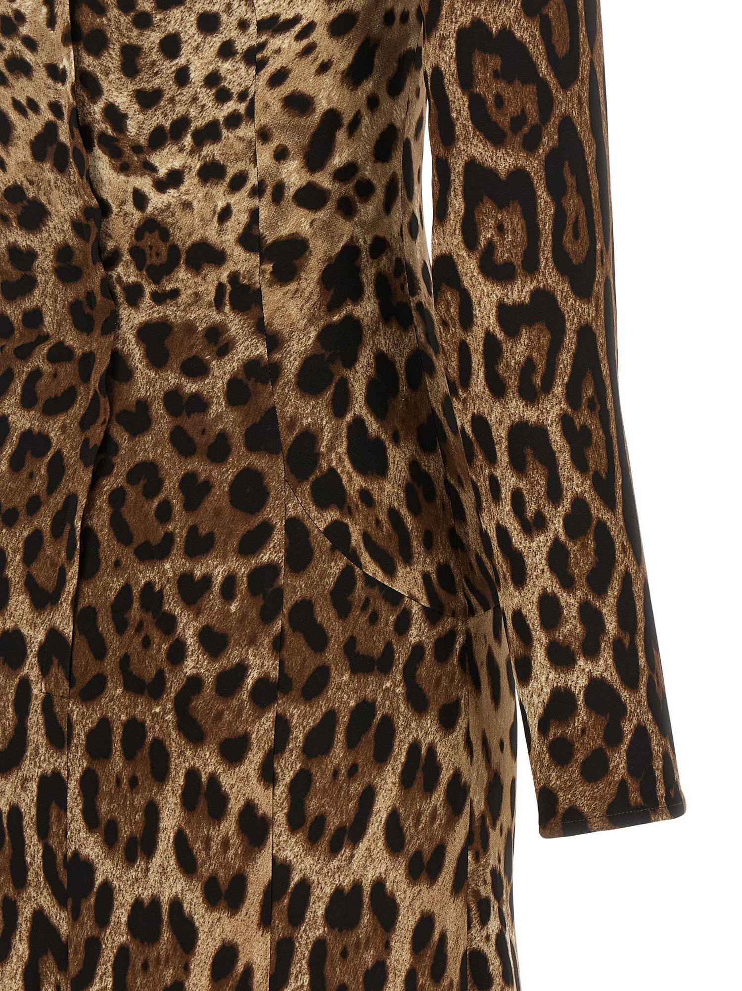 Dolce &amp; Gabbana Animal Print Dress Brown