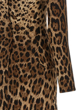 Dolce & Gabbana Animal Print Dress Brown