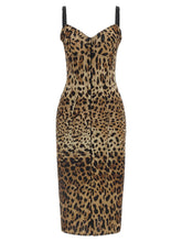 Dolce & Gabbana Animal-print Corset Dress Brown