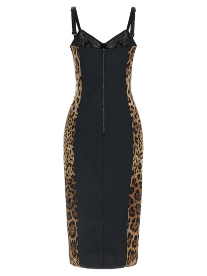 Dolce &amp; Gabbana Animal-print Corset Dress Brown