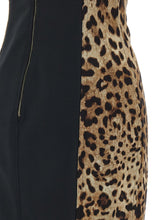 Dolce & Gabbana Animal-print Corset Dress Brown
