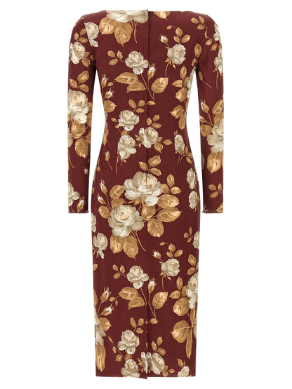 Dolce &amp; Gabbana Rose Print Dress Multicolor