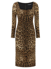 Dolce & Gabbana Leo Dress Brown