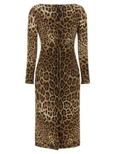 Dolce & Gabbana Leo Dress Brown