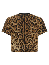 Dolce & Gabbana Leo Cropped T-shirt Brown