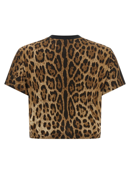 Dolce &amp; Gabbana Leo Cropped T-shirt Brown