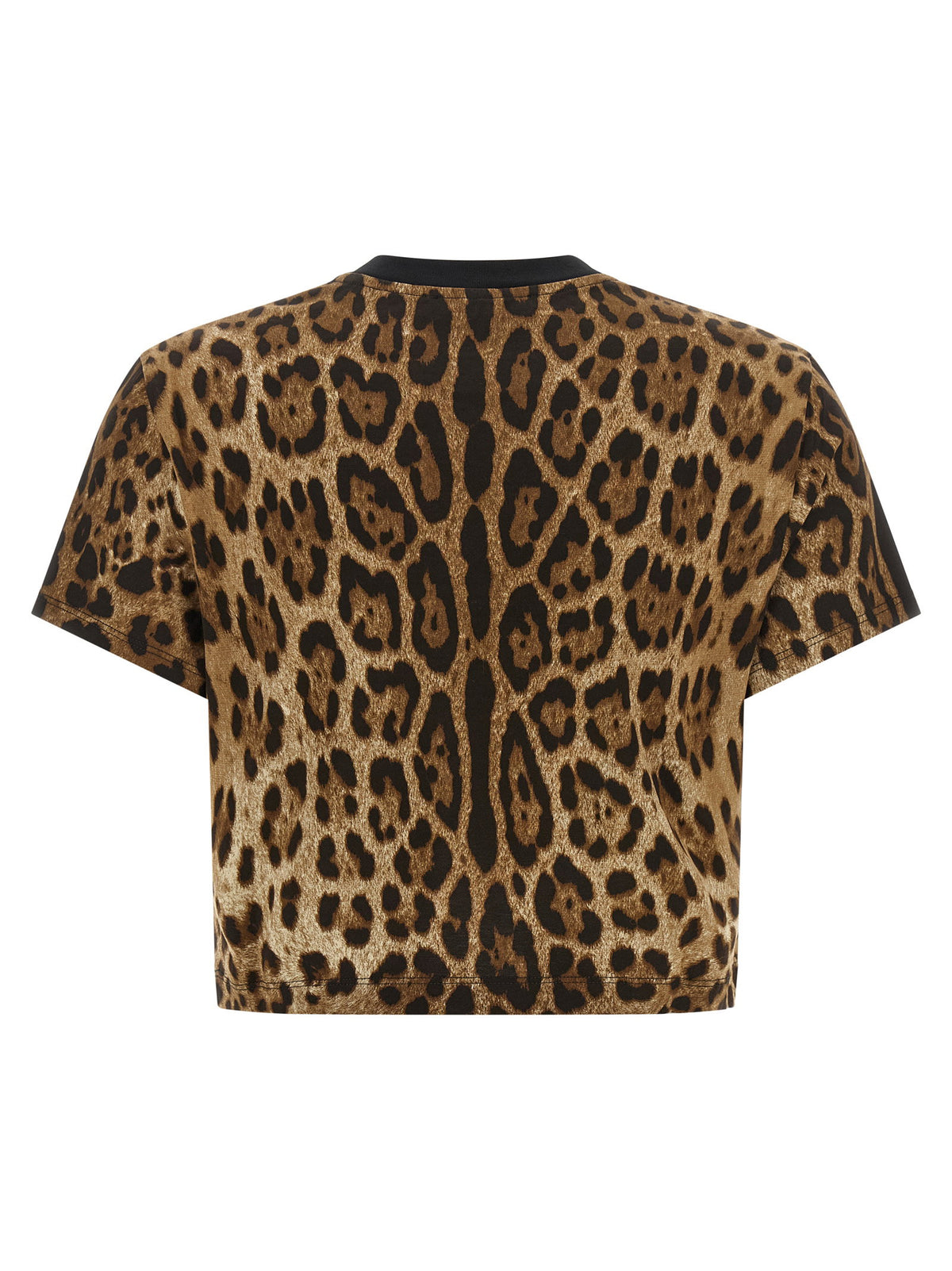 Dolce &amp; Gabbana Leo Cropped T-shirt Brown
