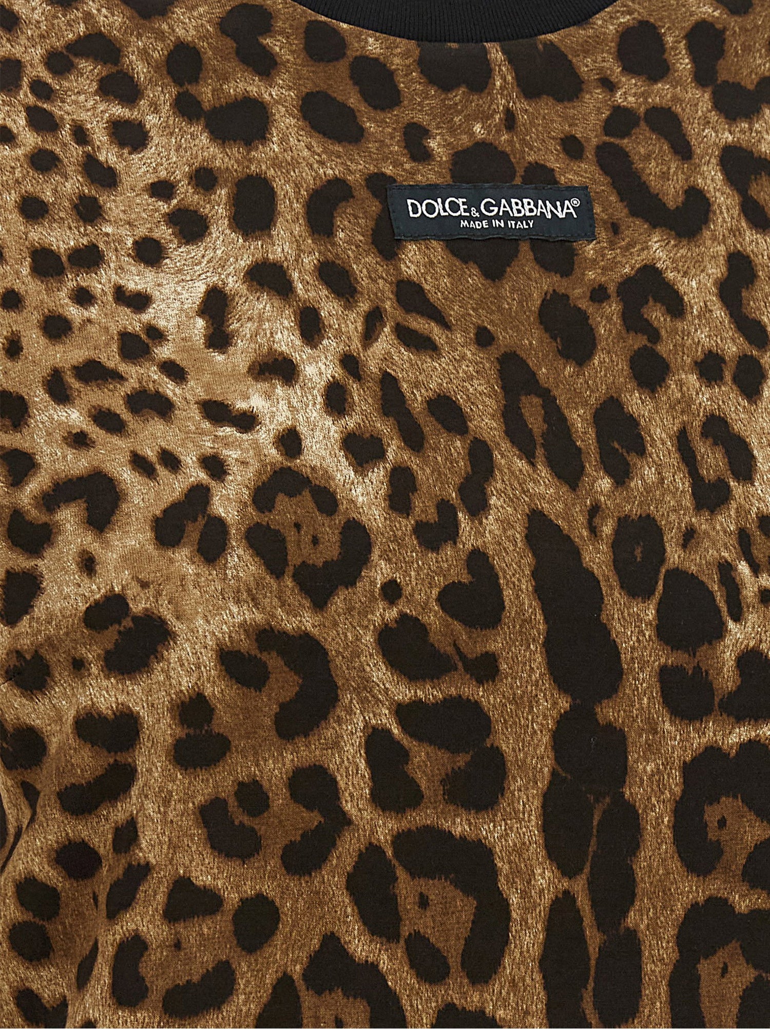 Dolce &amp; Gabbana Leo Cropped T-shirt Brown