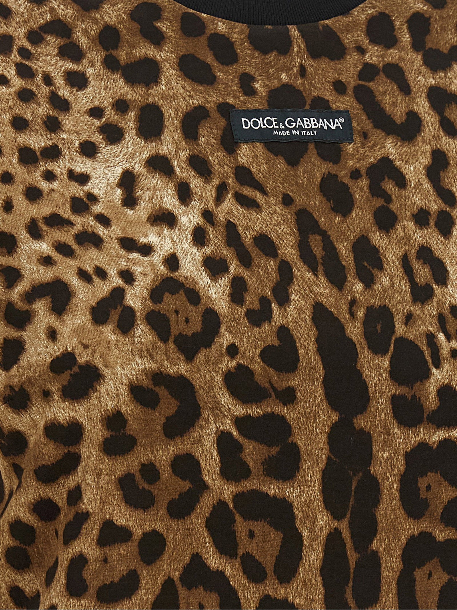 Dolce &amp; Gabbana Leo Cropped T-shirt Brown