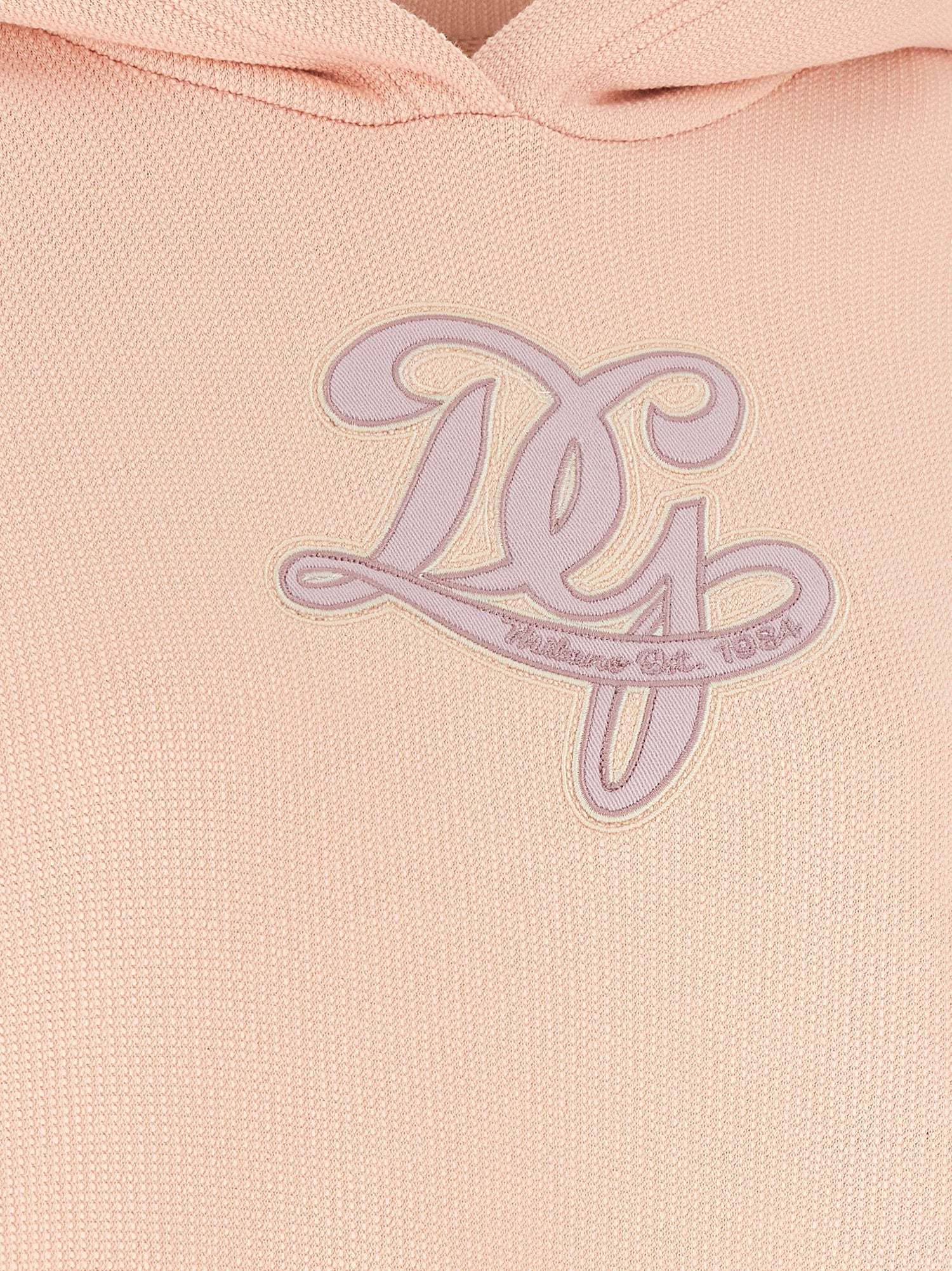 Dolce &amp; Gabbana Logo Embroidery Hoodie Pink