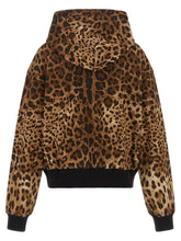 Dolce & Gabbana Leo Hoodie Brown