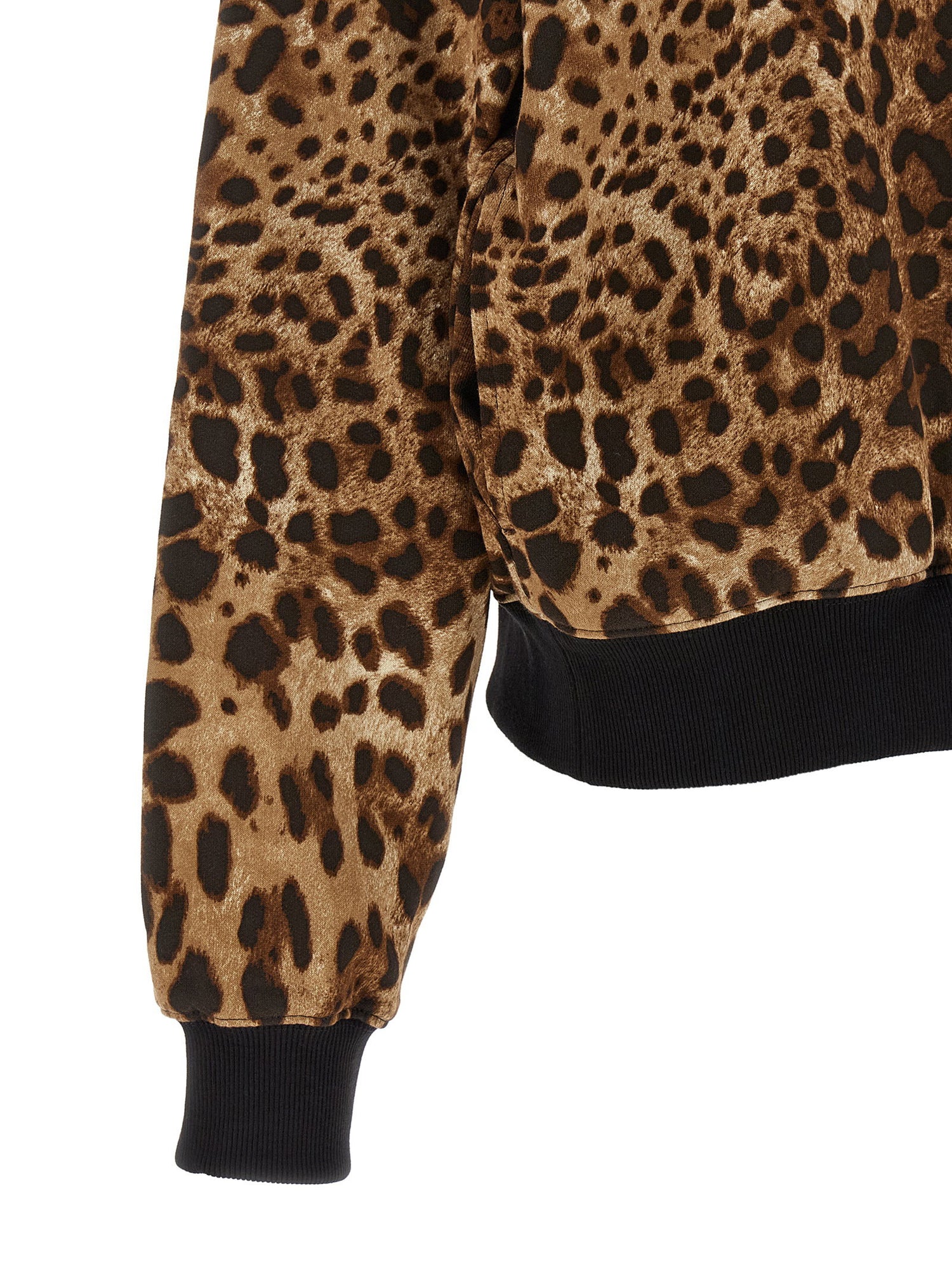 Dolce &amp; Gabbana Leo Hoodie Brown
