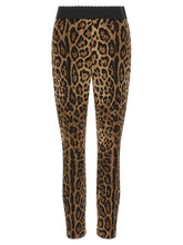 Dolce & Gabbana Leo Leggings Brown