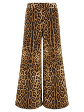 Dolce & Gabbana Leo Pants Brown