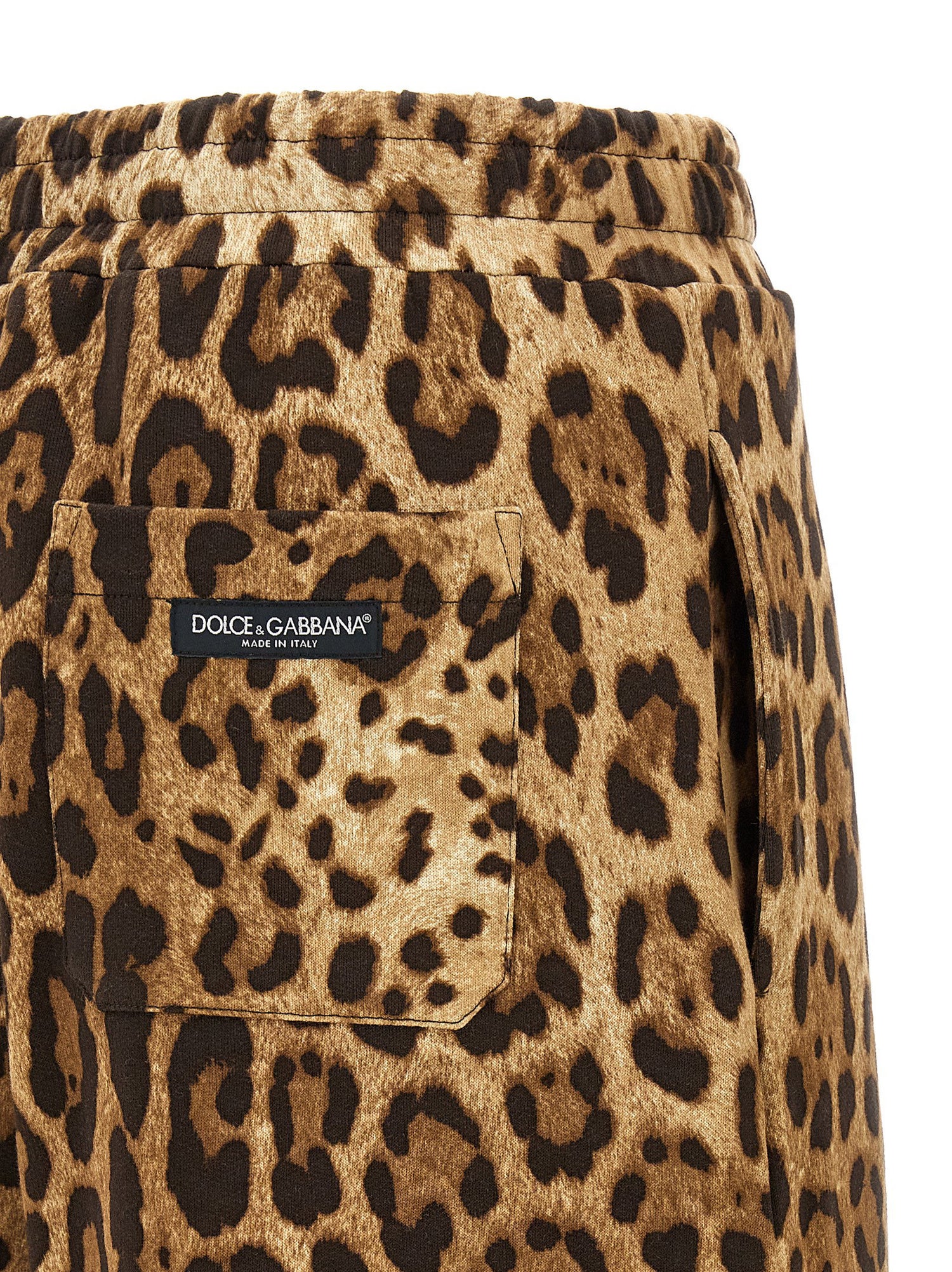 Dolce &amp; Gabbana Leo Pants Brown