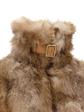 Elisabetta Franchi Bustier And Belted Jacket Brown