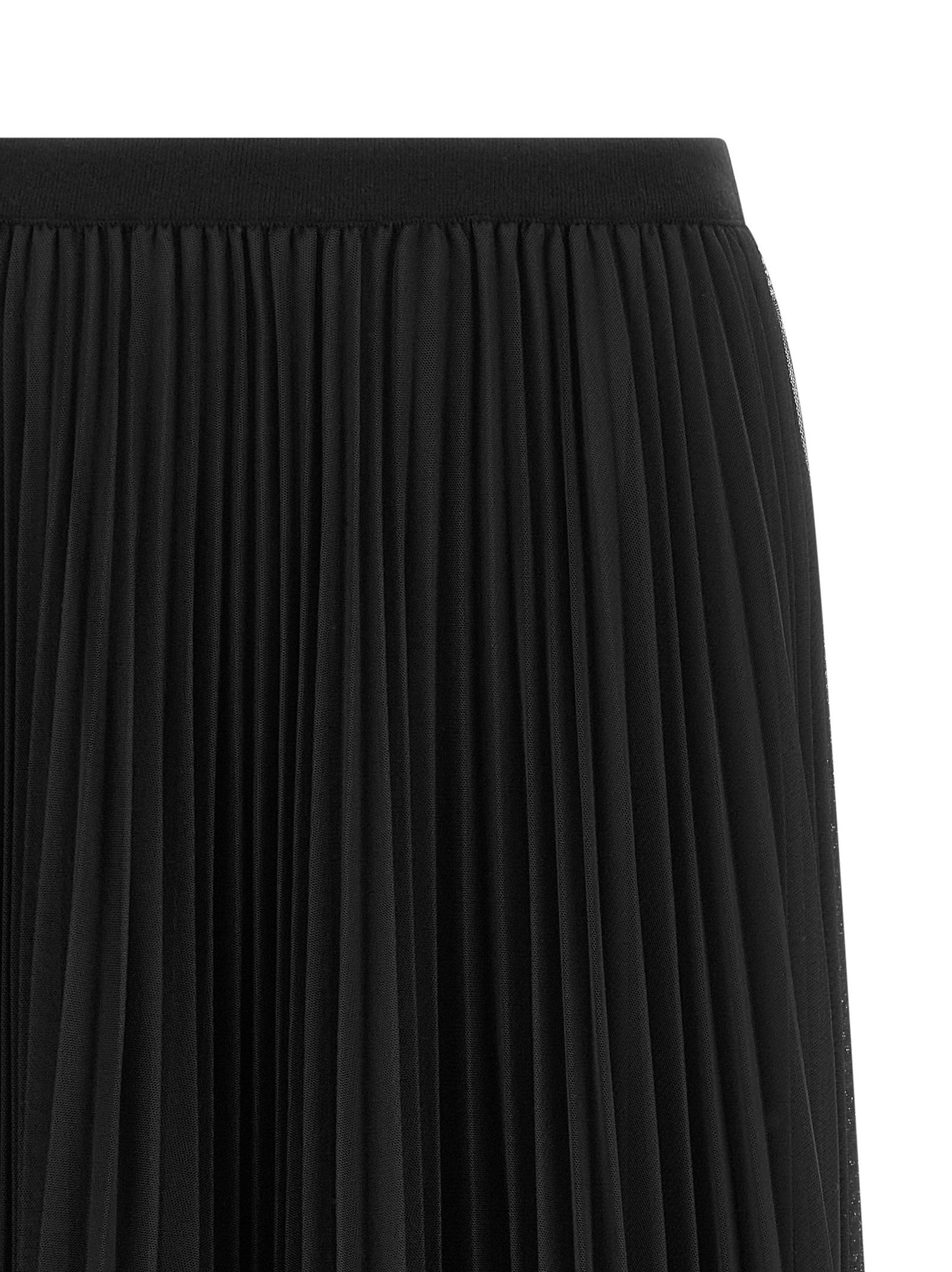 Fabiana Filippi Tulle Pleated Skirt Blue