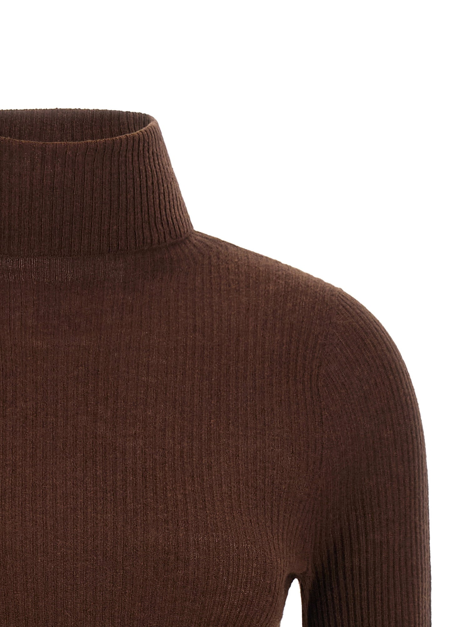 Fabiana Filippi Ribbed Turtleneck Sweater Brown
