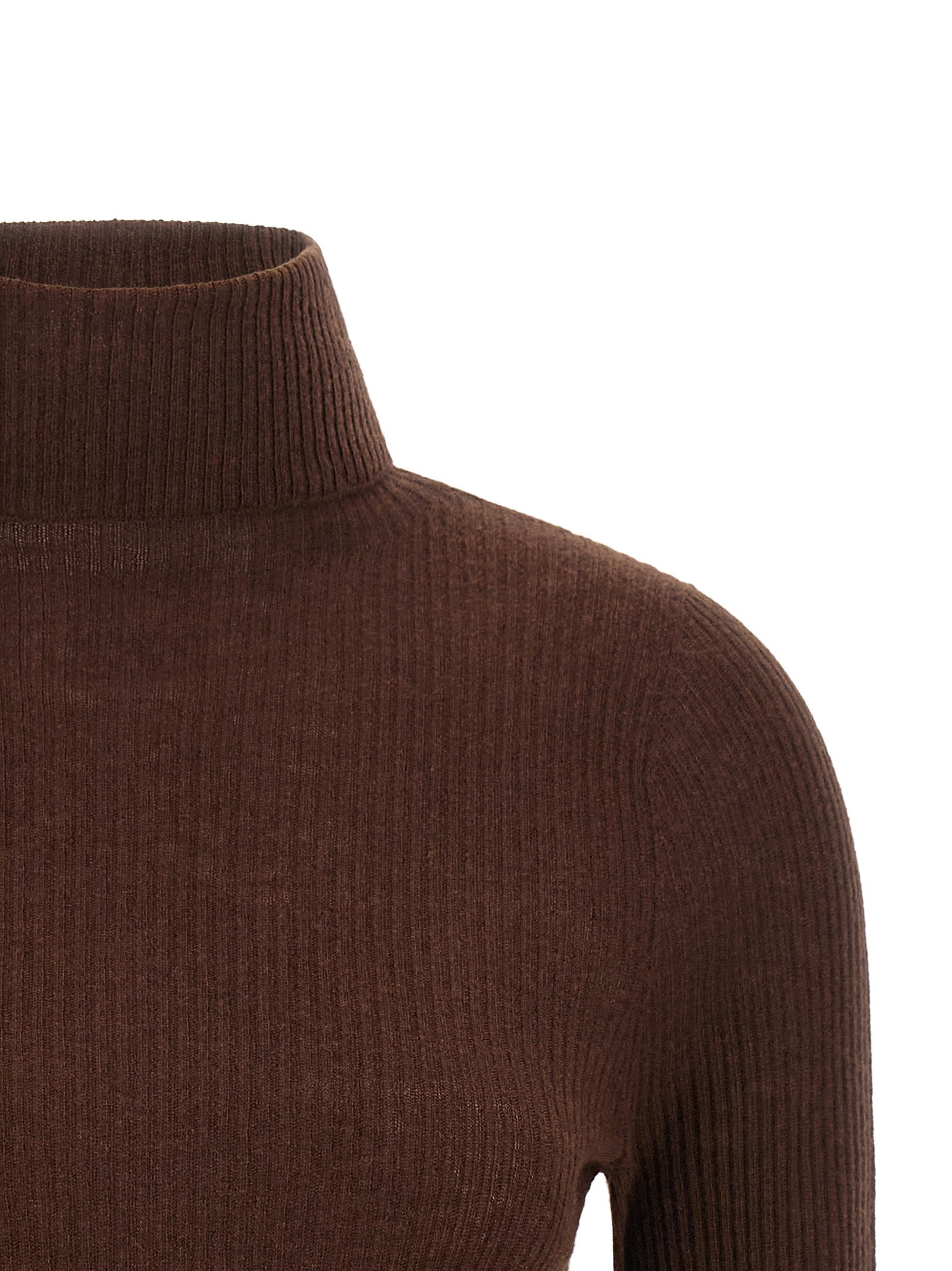 Fabiana Filippi Ribbed Turtleneck Sweater Brown