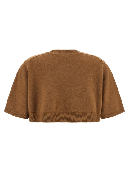 Elisabetta Franchi Wool And Cashmere Top Brown
