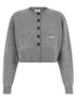 Elisabetta Franchi Cardigan Tricot Gray
