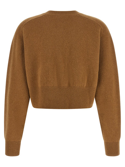 Elisabetta Franchi Cardigan Tricot Brown